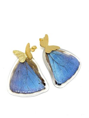 Arete Alas mariposa Morpho