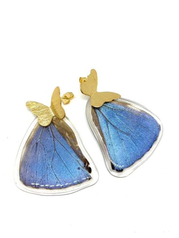 IMG_5156 Arete Alas mariposa Morpho