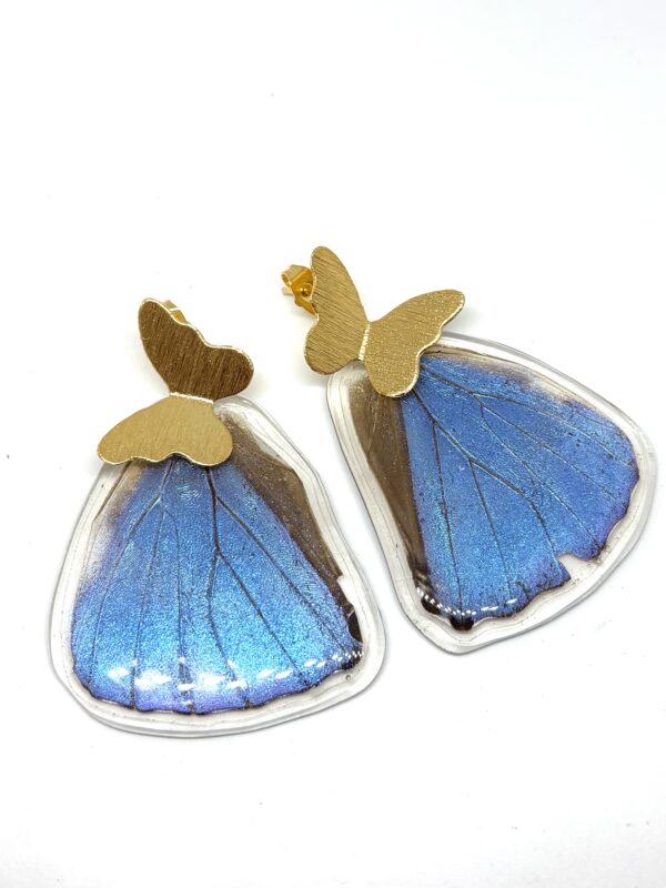 IMG_5157 Arete Alas mariposa Morpho