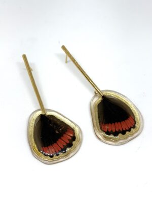 Arete Alas mariposa biblis palo acero