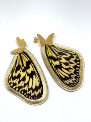 Arete Alas grandes mariposa topo bronce