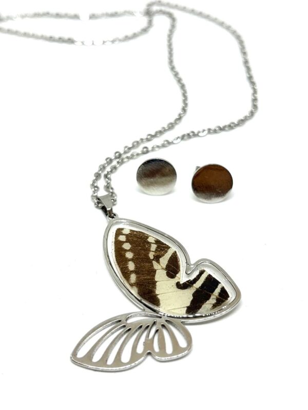 ad58e4d2-4642-4e3e-accb-ee87494a8c93 set acero silueta mariposa con alas de mariposa